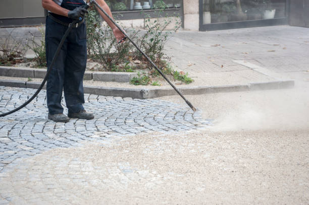 Best Animal Enclosure Cleaning  in North Lauderdale, FL